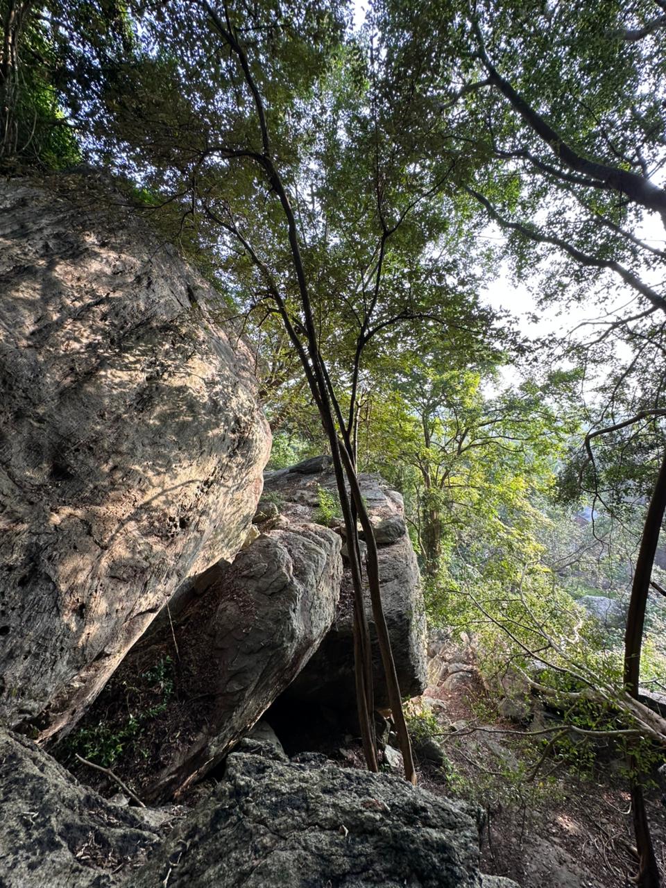 Danigala Gallery Image